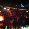 031211jungletones 13